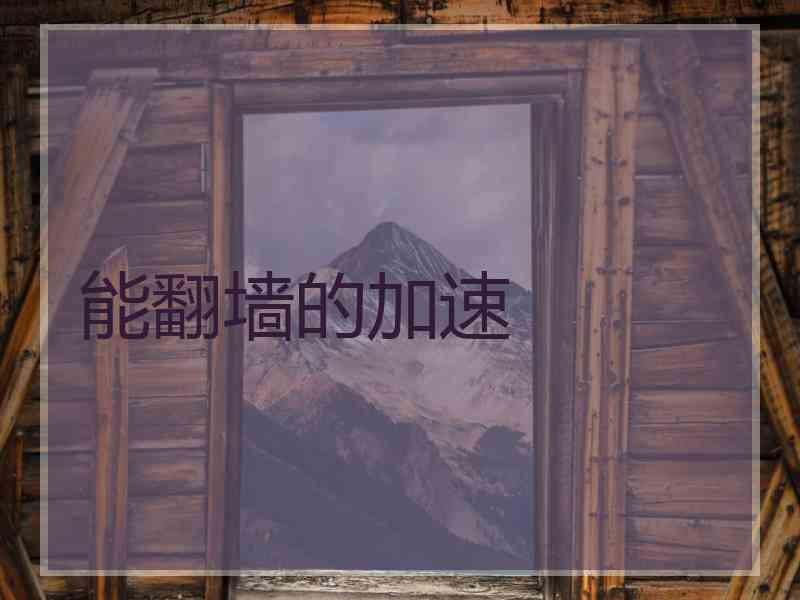 能翻墙的加速