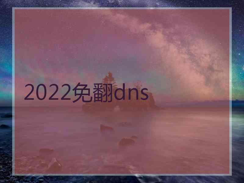 2022免翻dns