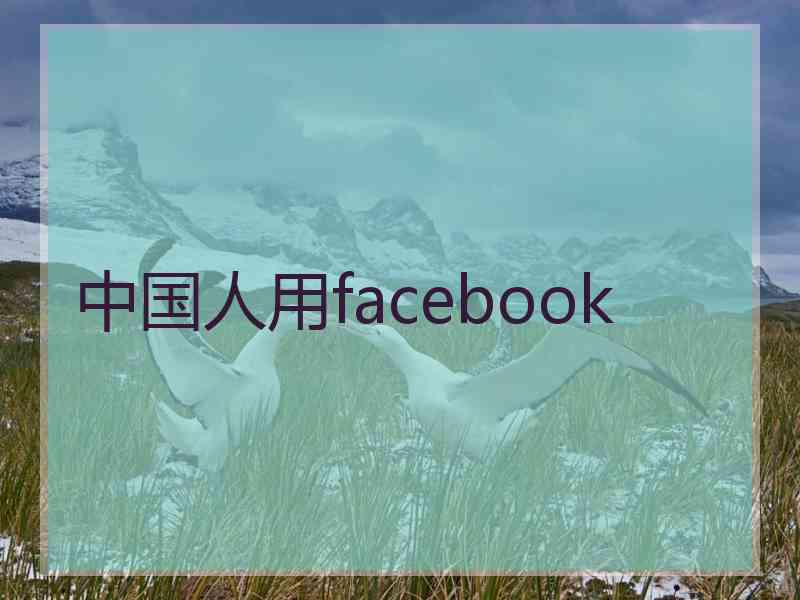 中国人用facebook