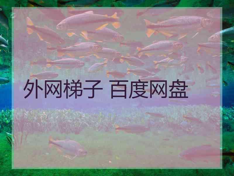 外网梯子 百度网盘