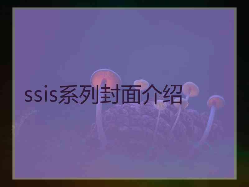 ssis系列封面介绍