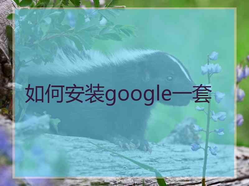 如何安装google一套