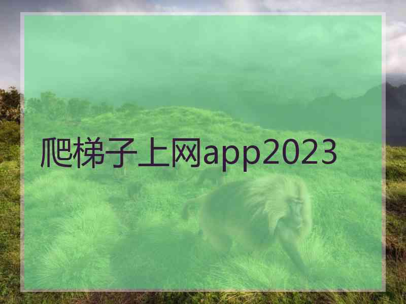 爬梯子上网app2023