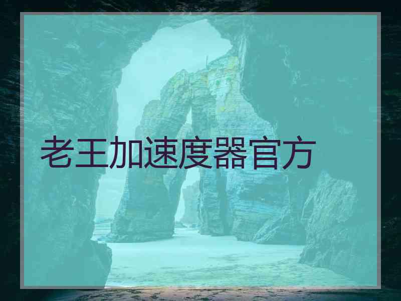 老王加速度器官方