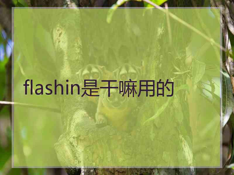 flashin是干嘛用的