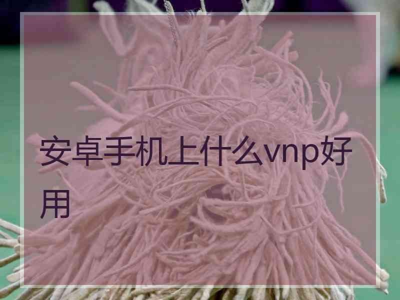 安卓手机上什么vnp好用