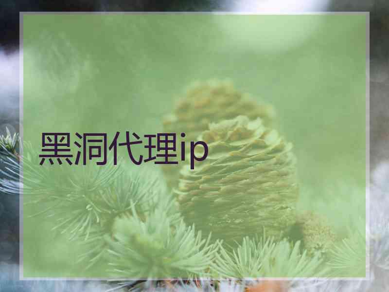 黑洞代理ip