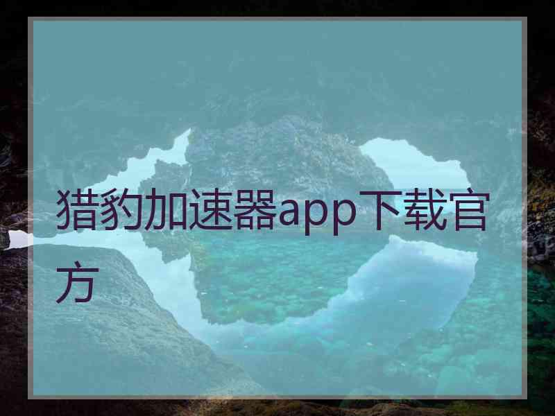 猎豹加速器app下载官方