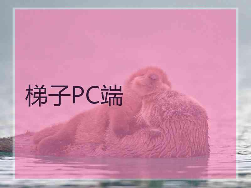 梯子PC端