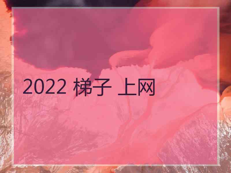 2022 梯子 上网