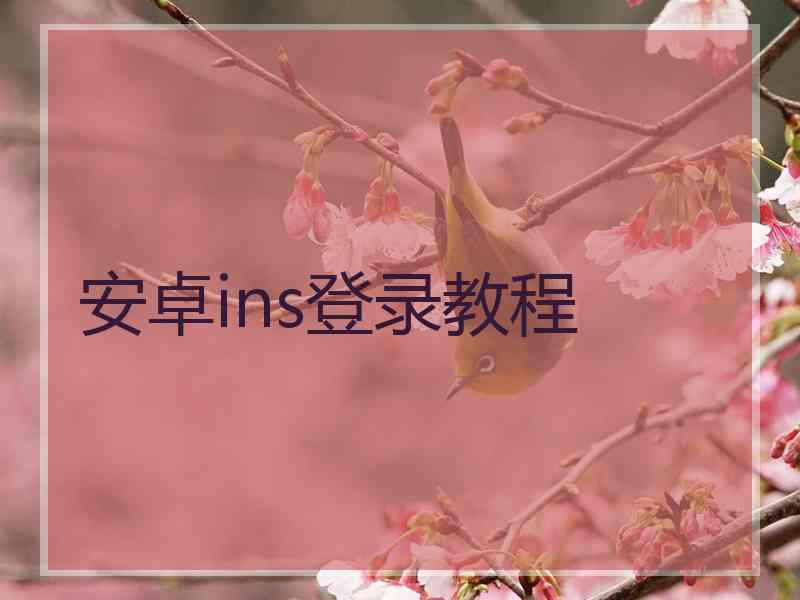 安卓ins登录教程