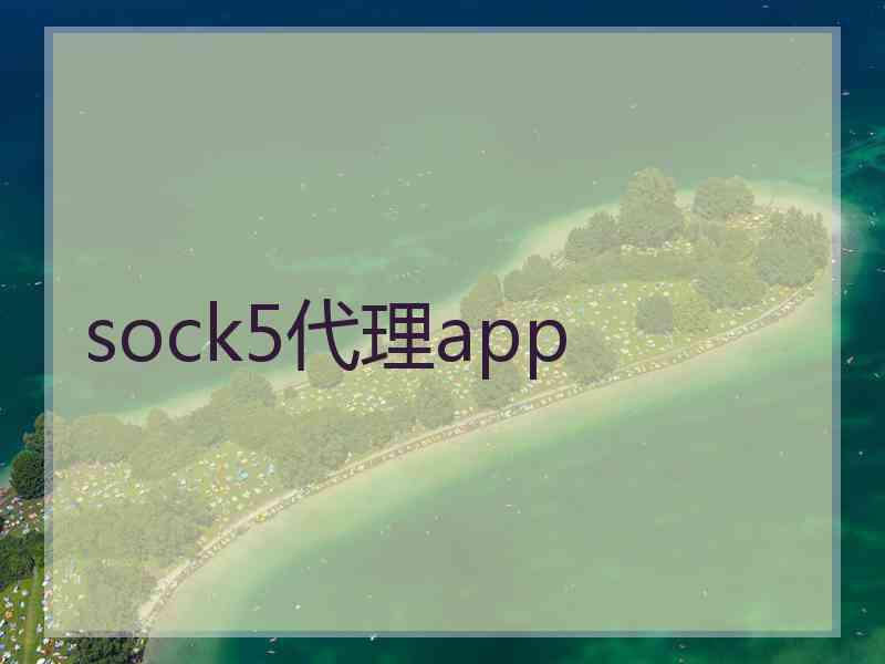 sock5代理app