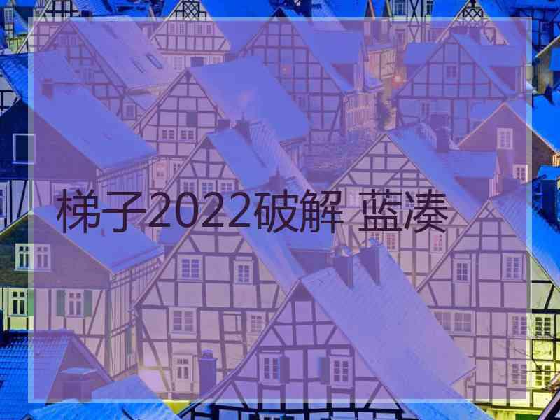 梯子2022破解 蓝凑