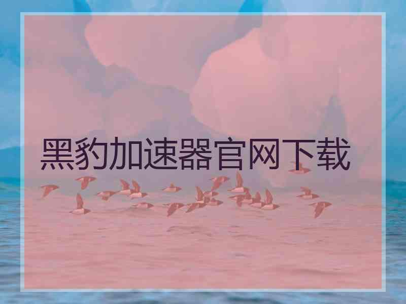 黑豹加速器官网下载