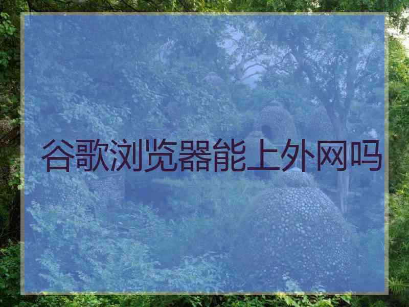 谷歌浏览器能上外网吗