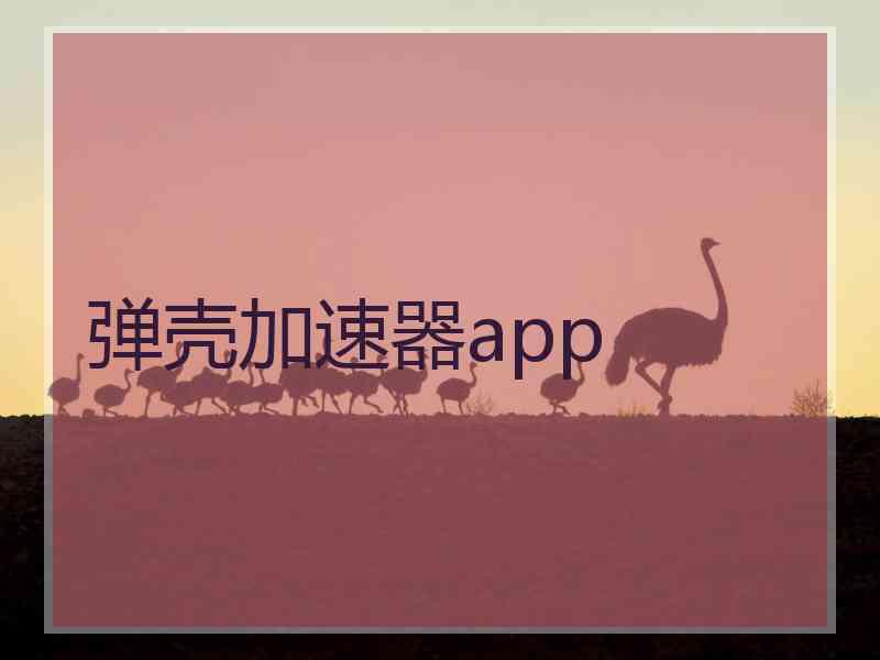 弹壳加速器app