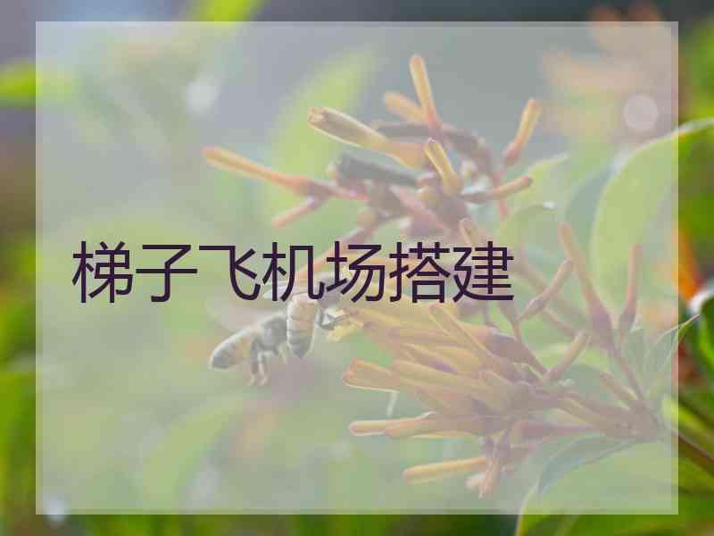 梯子飞机场搭建