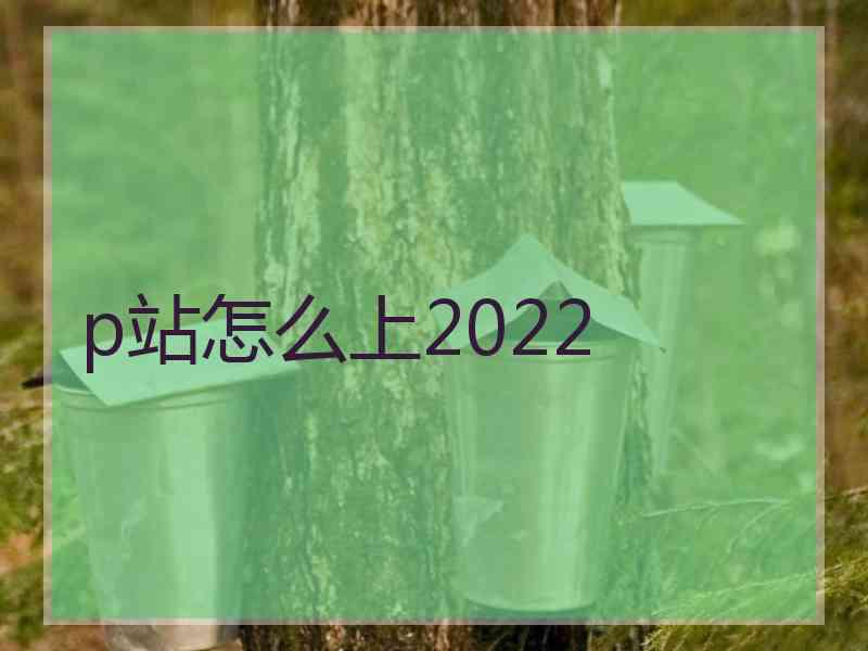 p站怎么上2022