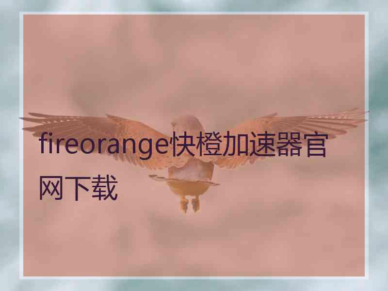 fireorange快橙加速器官网下载