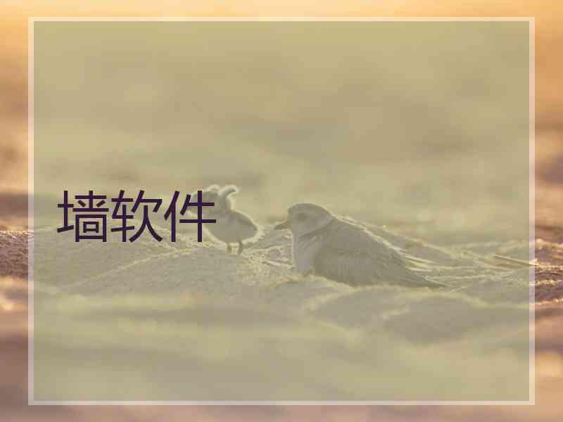 墙软件
