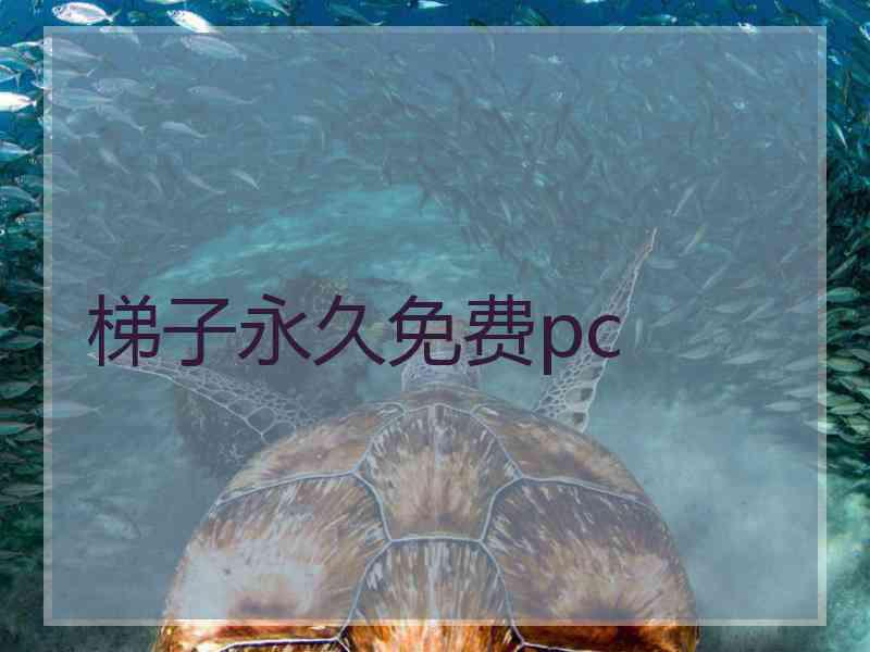 梯子永久免费pc