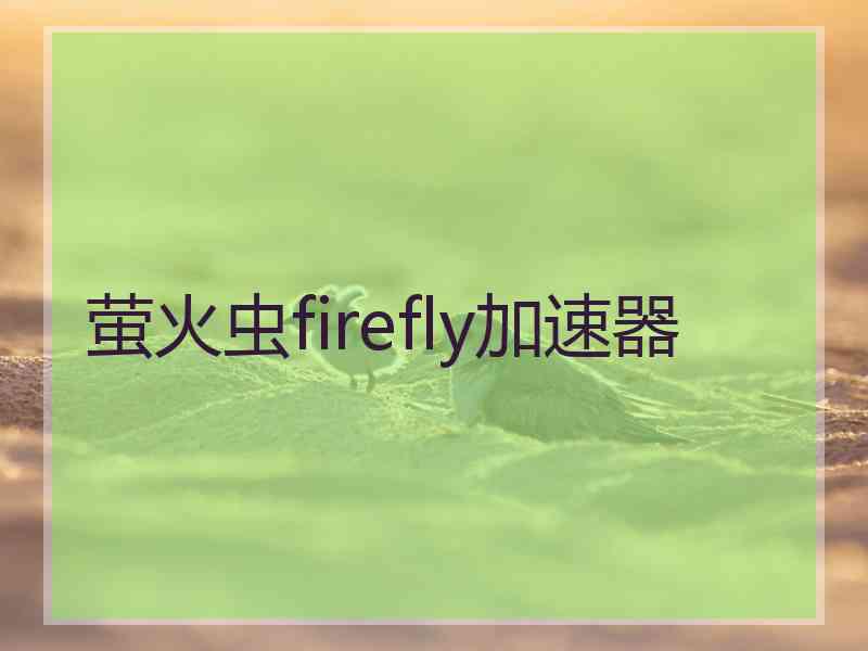 萤火虫firefly加速器