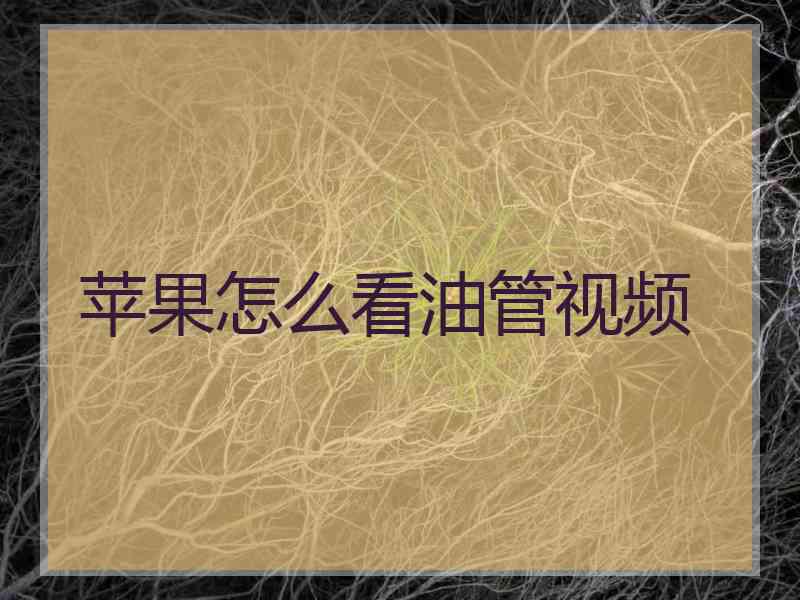 苹果怎么看油管视频