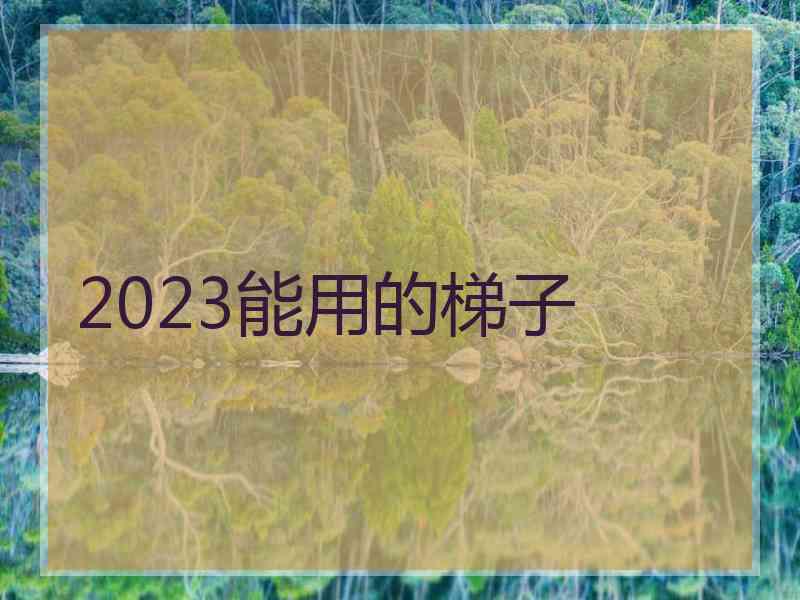 2023能用的梯子