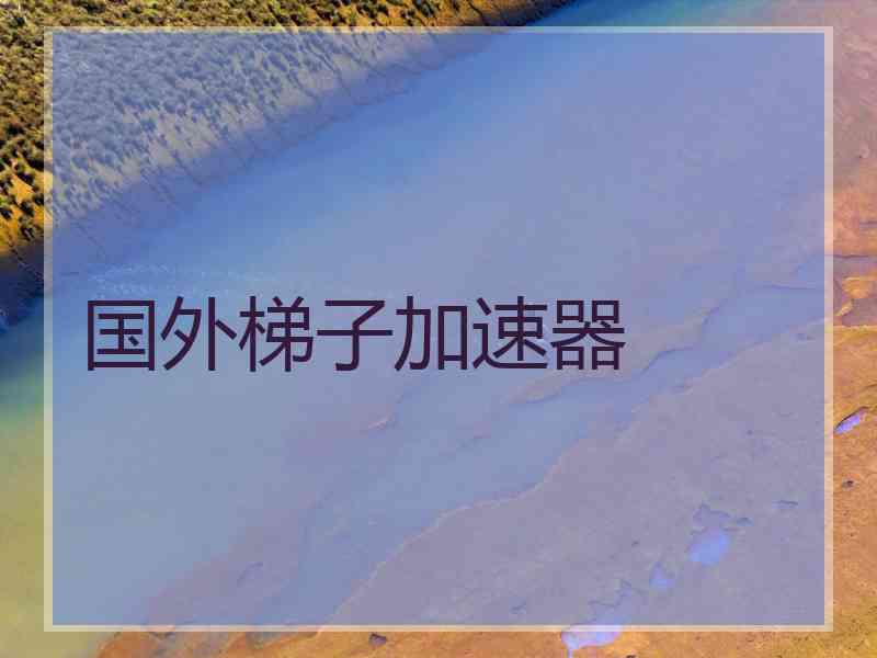 国外梯子加速器