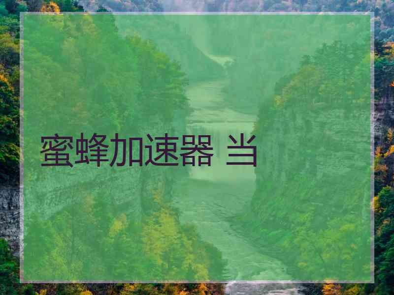 蜜蜂加速器 当