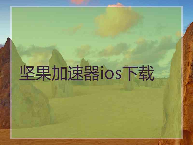 坚果加速器ios下载