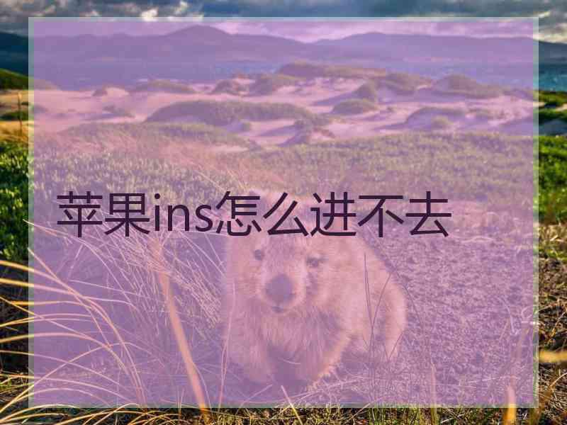 苹果ins怎么进不去