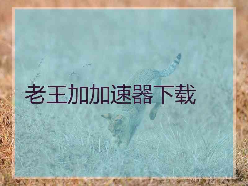 老王加加速器下载